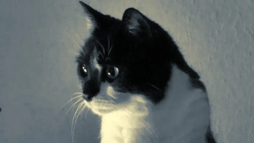 Image from Minou Kouki