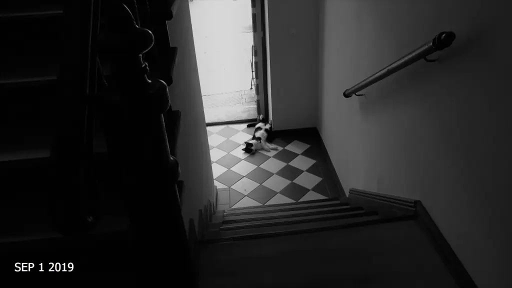 Image from Minou Kouki