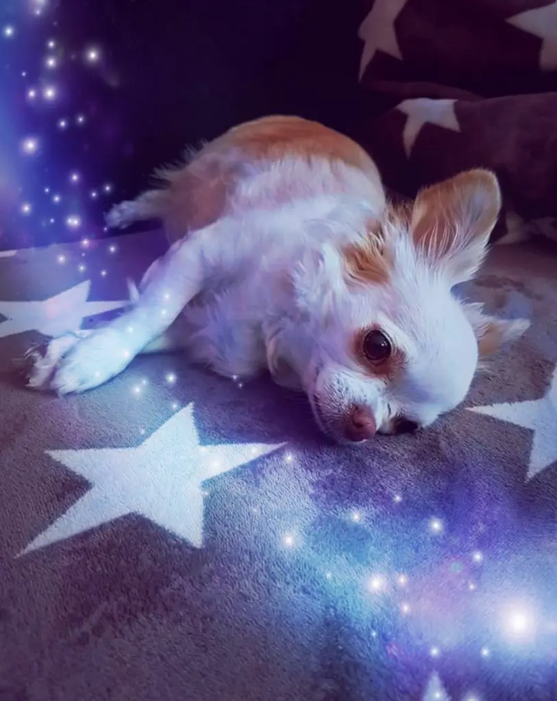 Condolence image of Nele