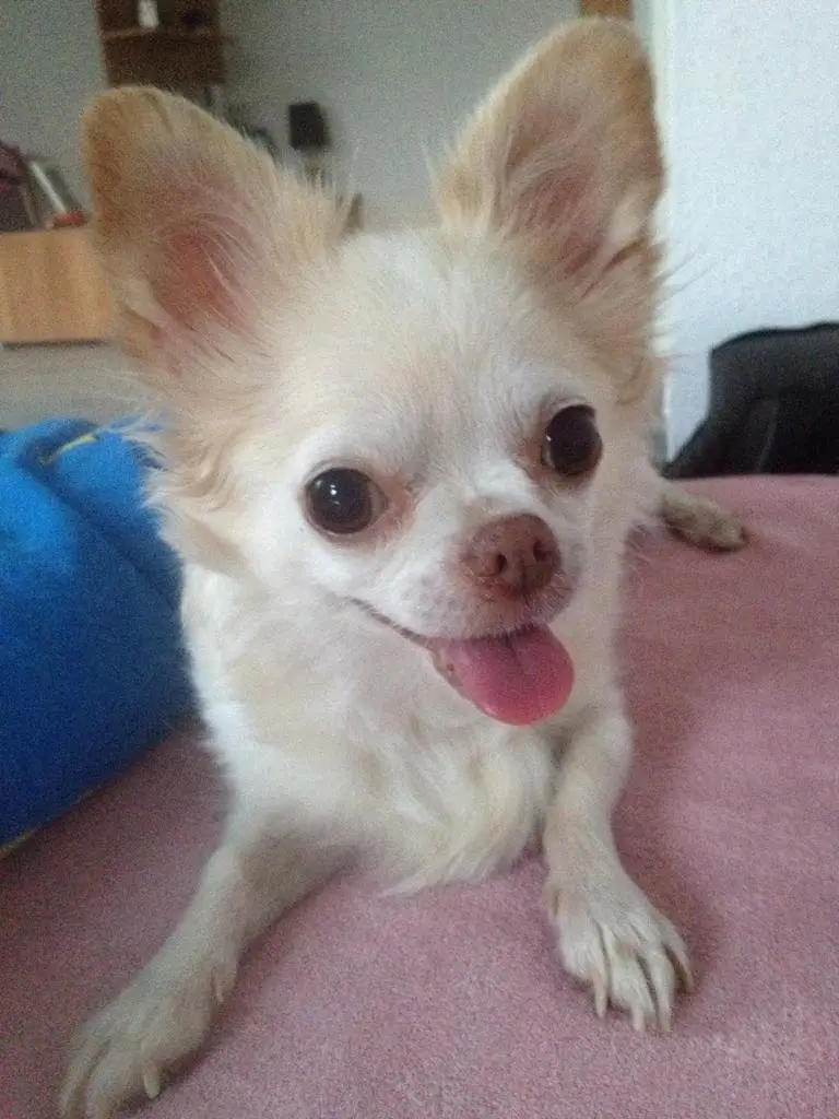 Image from Shila