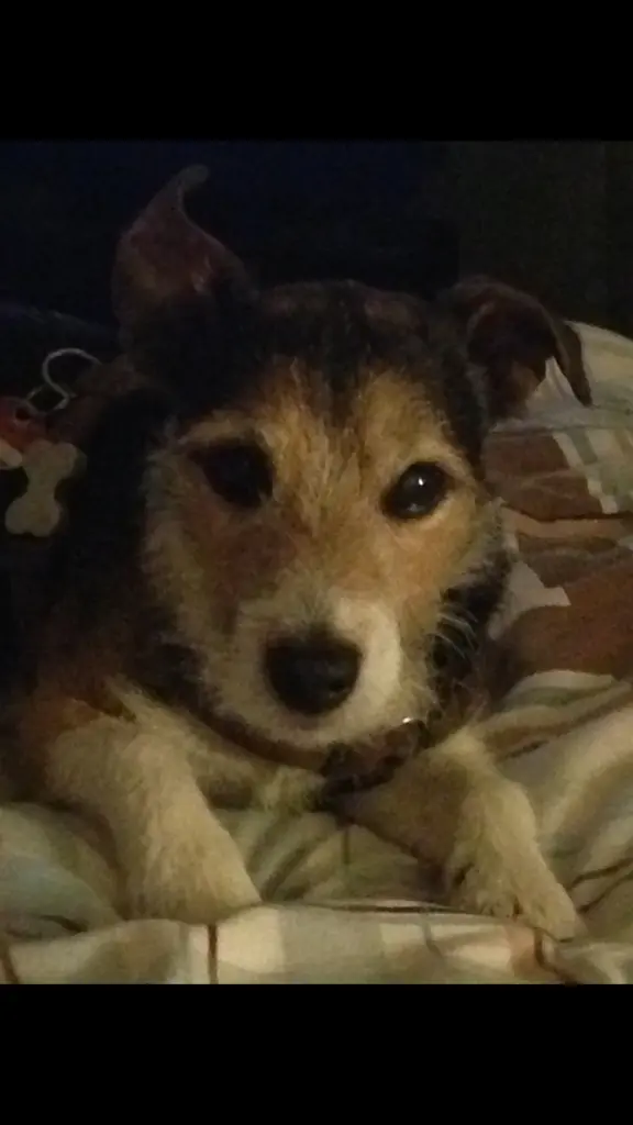Condolence image of Claudia mit ganz tief im Herzen ♥️