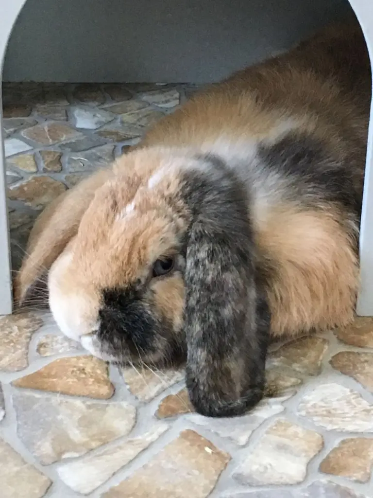 Condolence image of Mama