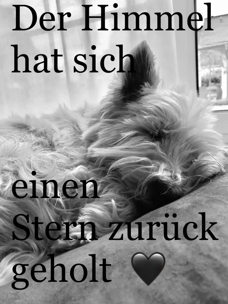 Condolence image of Unbekannt