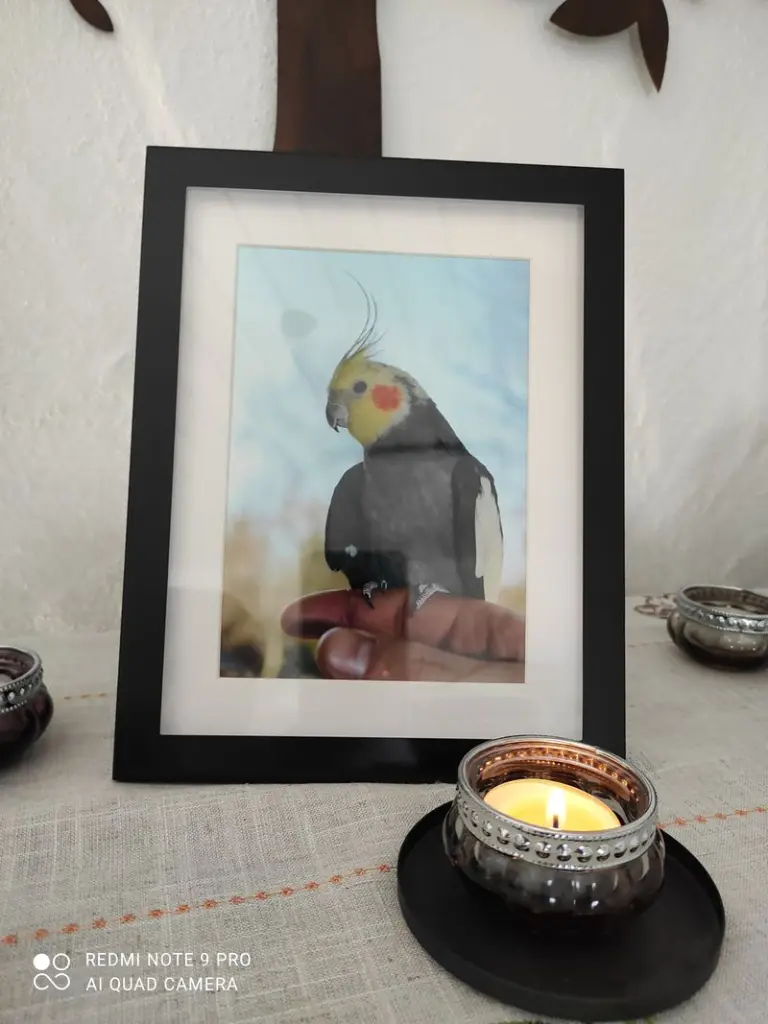 Condolence image of Unbekannt