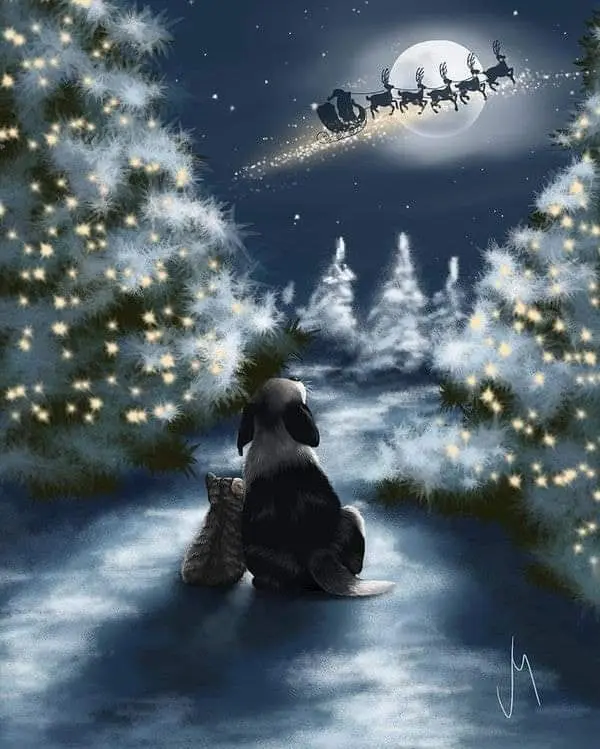 Condolence image of Deine Familie liebt Dich <3