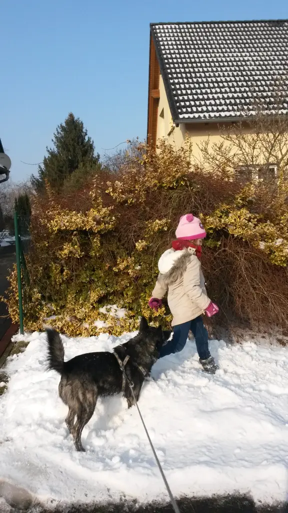 Image from Anuk