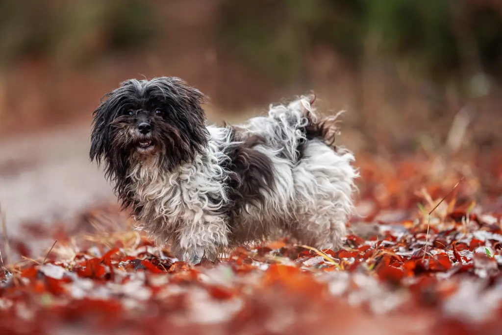 Bild von Ronja