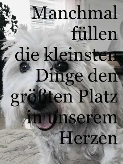Condolence image of Antje und Gina mit Sally tief im ❤️ 