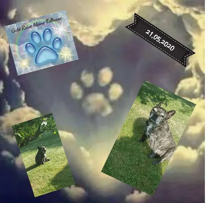 Andachtsbild von Natascha