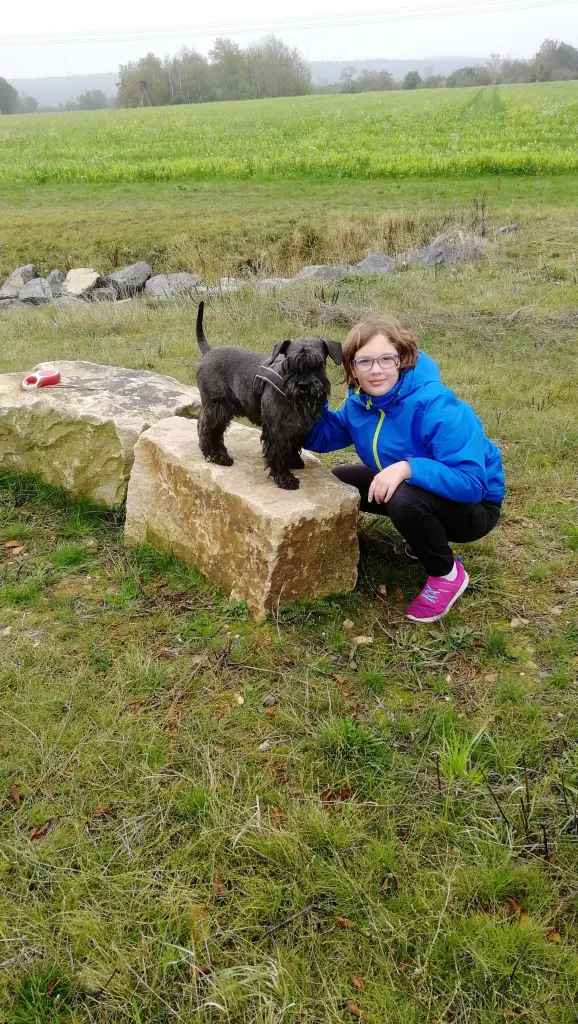 Andachtsbild von Dieter