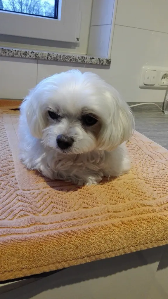 Image from Lucky