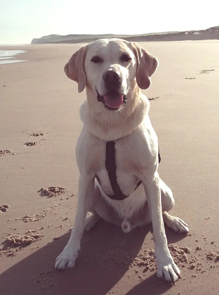 Condolence image of Andrea