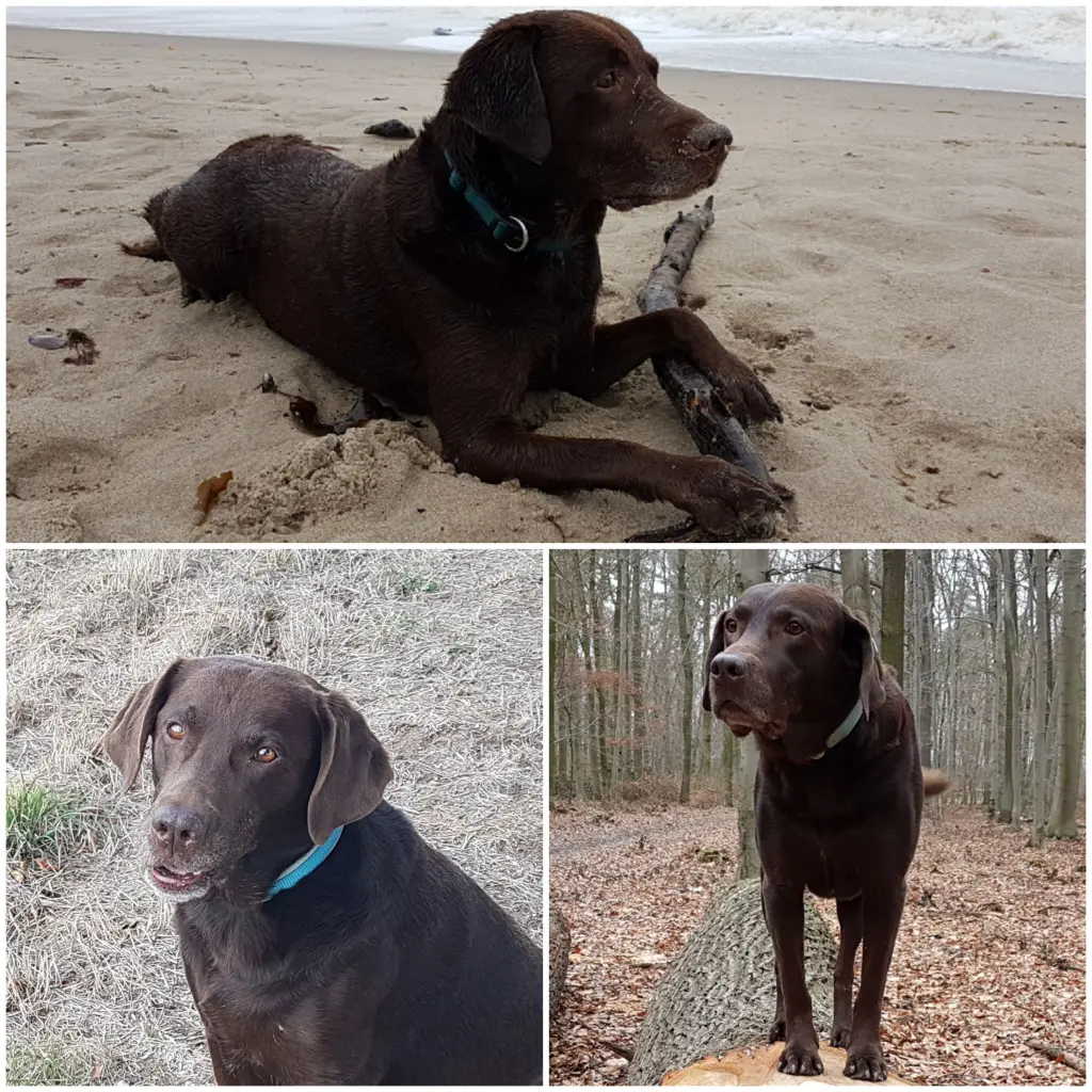 Condolence image of Silvana