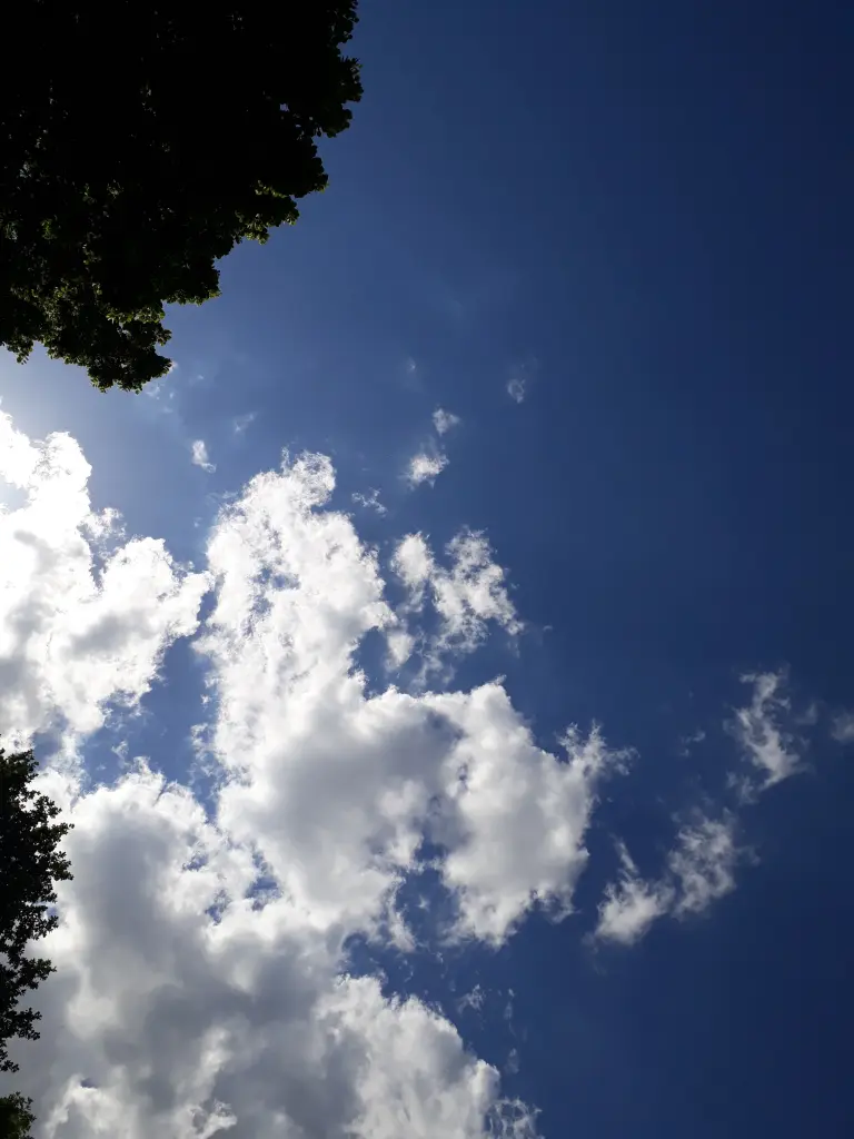 Condolence image of Patricia