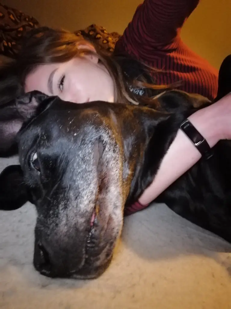 Condolence image of Lucy