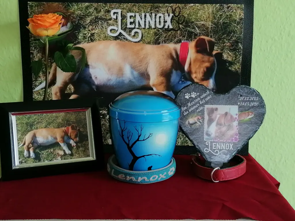 Image from Lennox