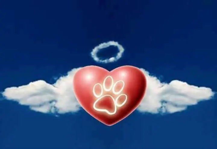 Condolence image of Mandy Hickmann