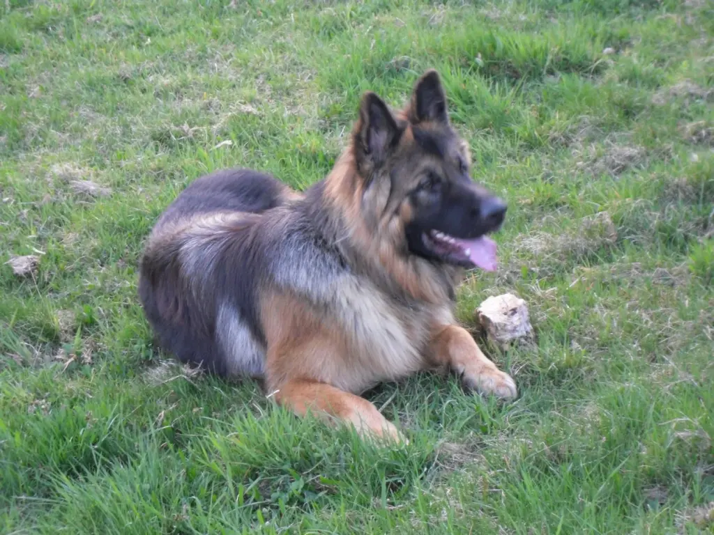 Andachtsbild von Birgit und Uwe