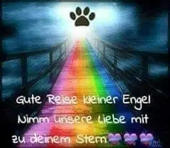 Andachtsbild von Marika mit Balou und Hippo im Herzen