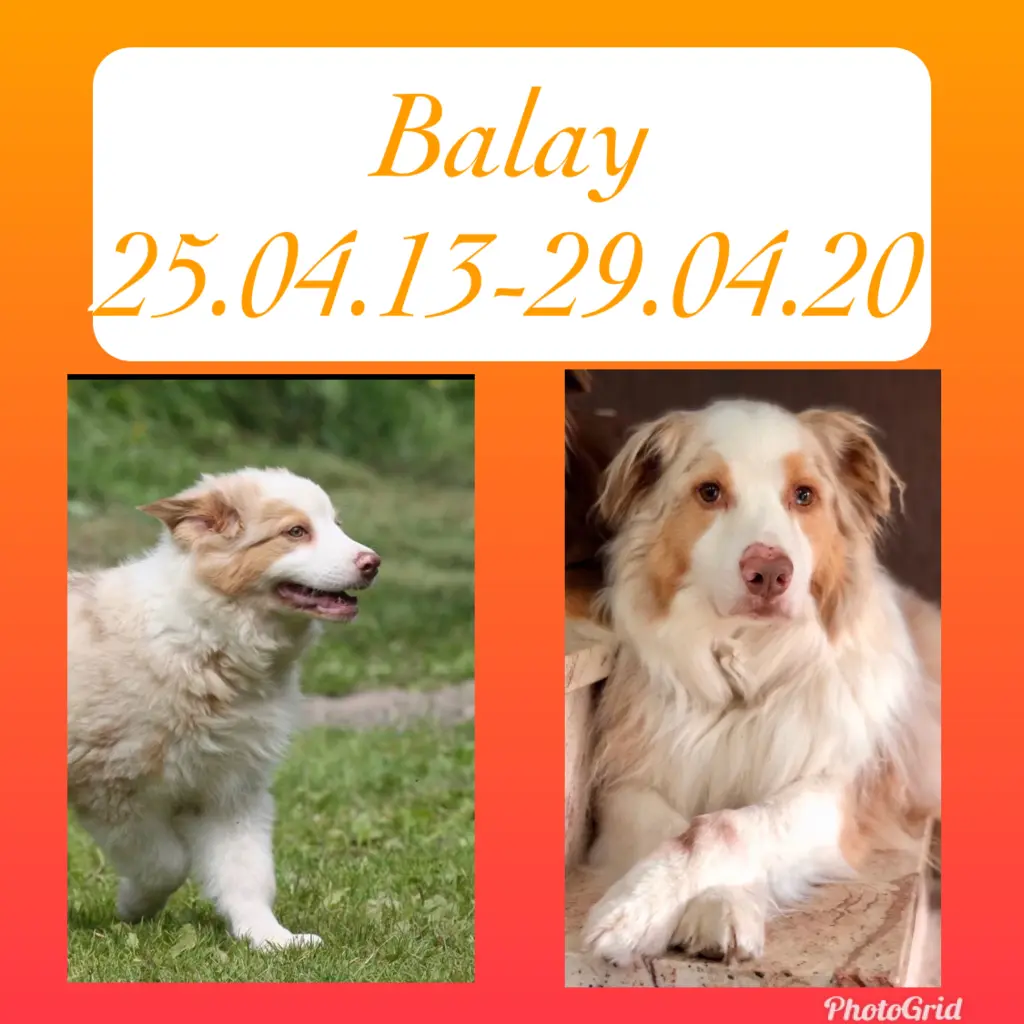 Image from Balay