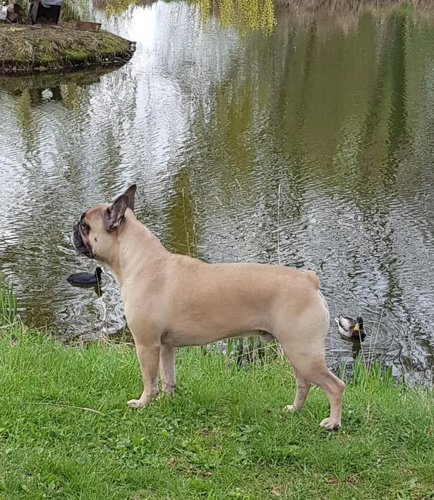 Condolence image of Anikó mit Erwin  im❤