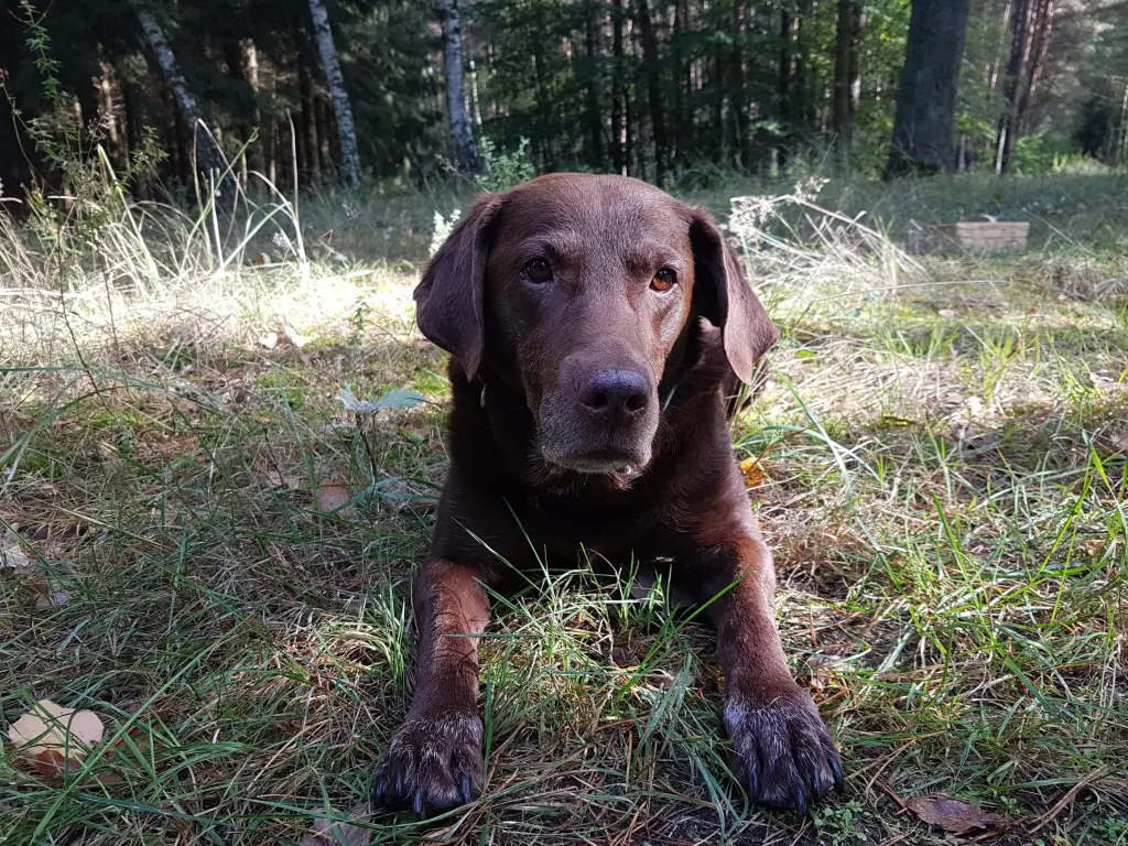 Condolence image of Silvana 