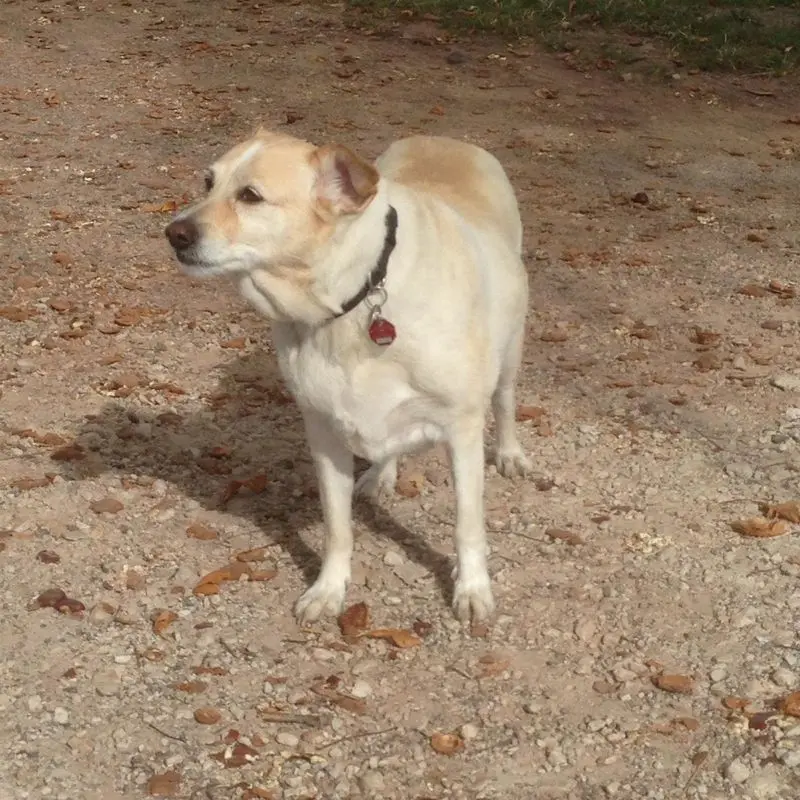 Condolence image of Anke