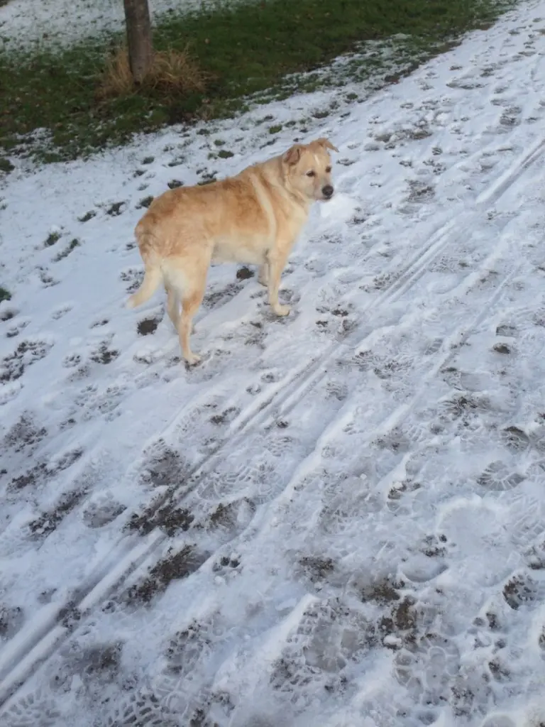 Condolence image of Anke