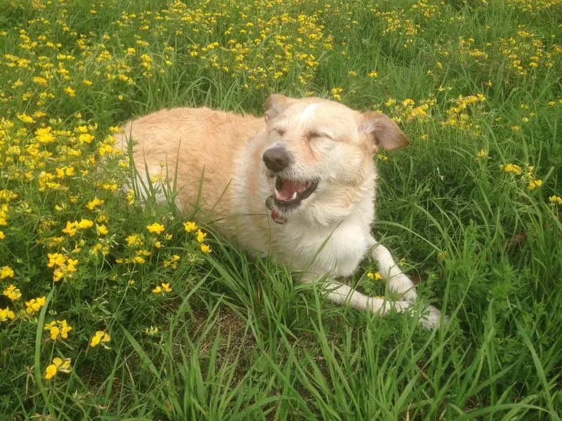 Condolence image of Anke