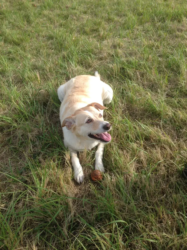 Condolence image of Anke 