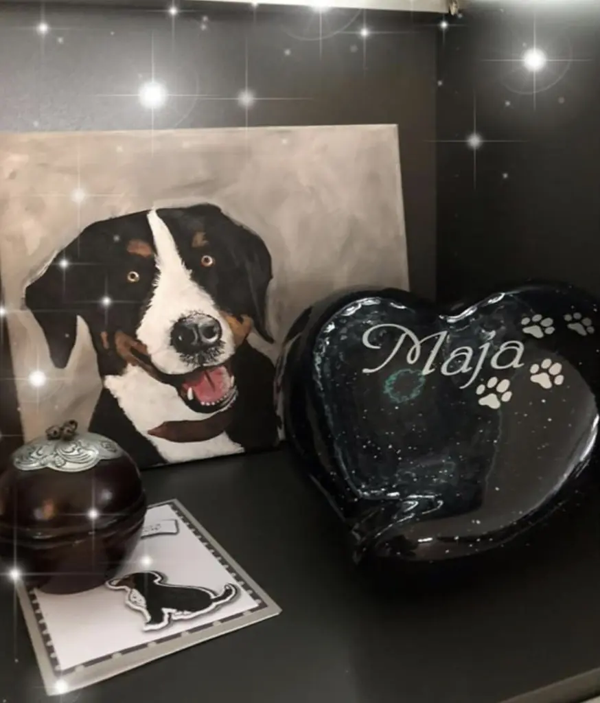Condolence image of Astrid Mit Maja im Herzen
