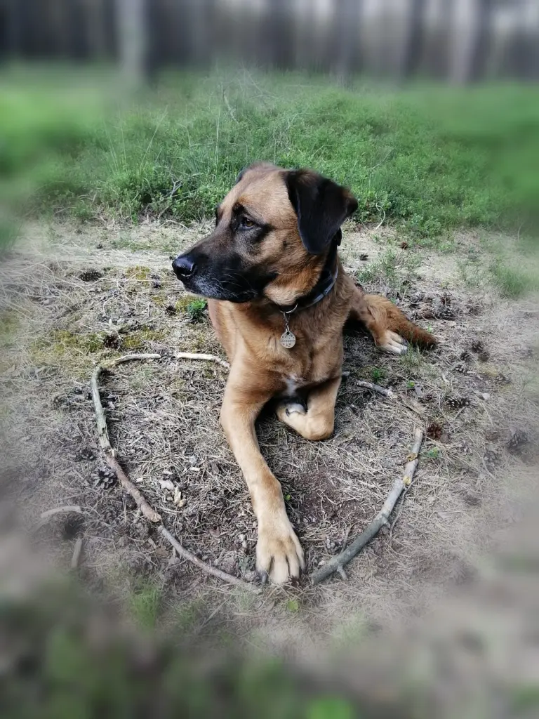 Condolence image of Bine & Oliver