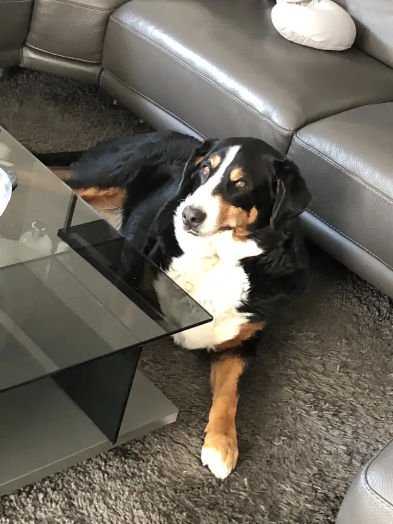 Condolence image of Astrid