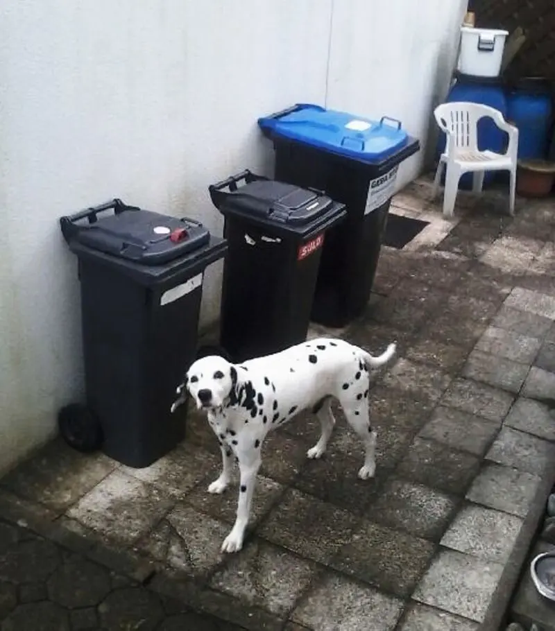 Andachtsbild von Bettina