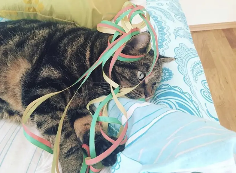 Andachtsbild von Unbekannt