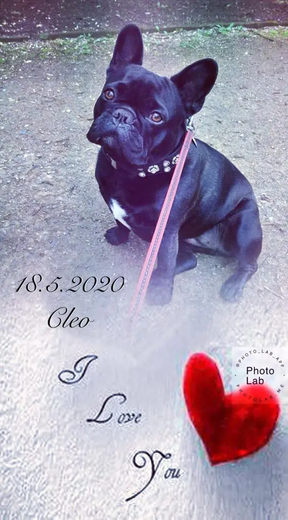 Image from Cleo