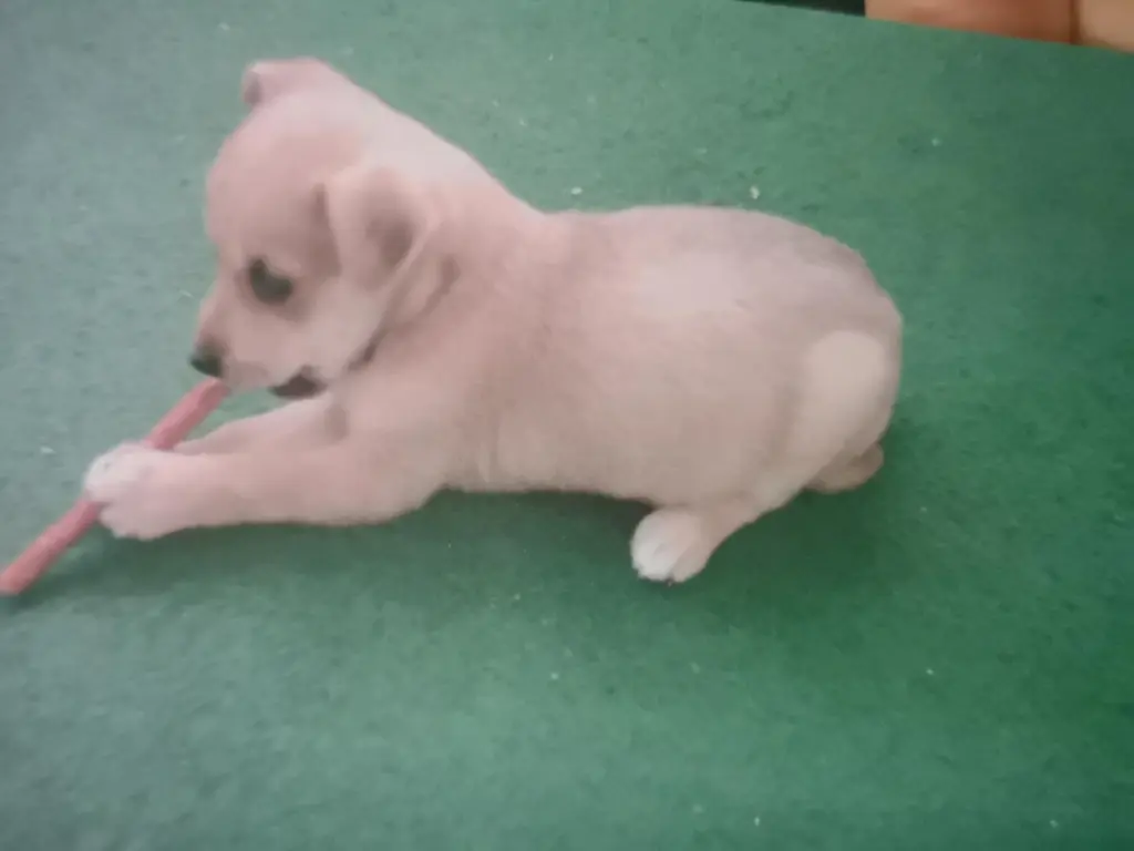 Image from Baby