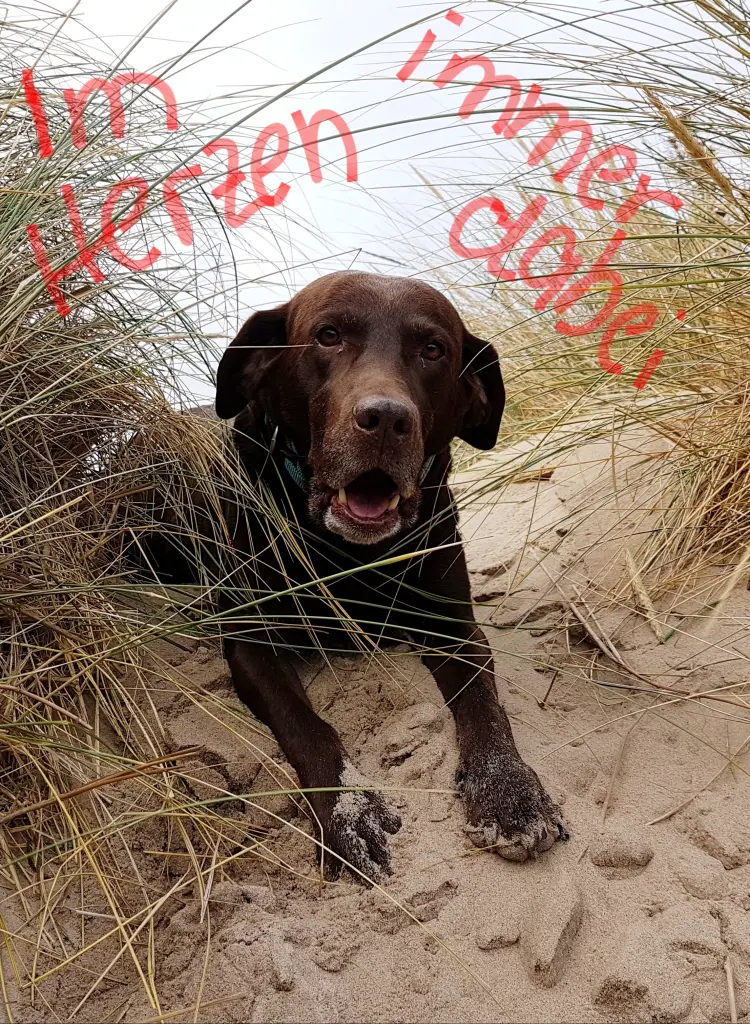 Andachtsbild von Silvana