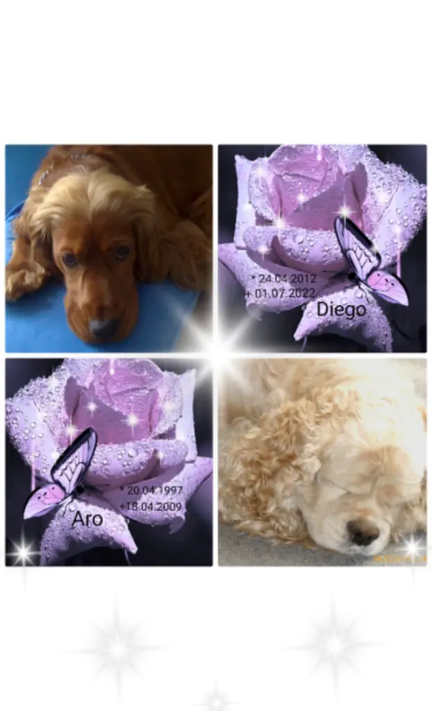 Andachtsbild von Jacqueline mit Diego & Aro tief im Herzen