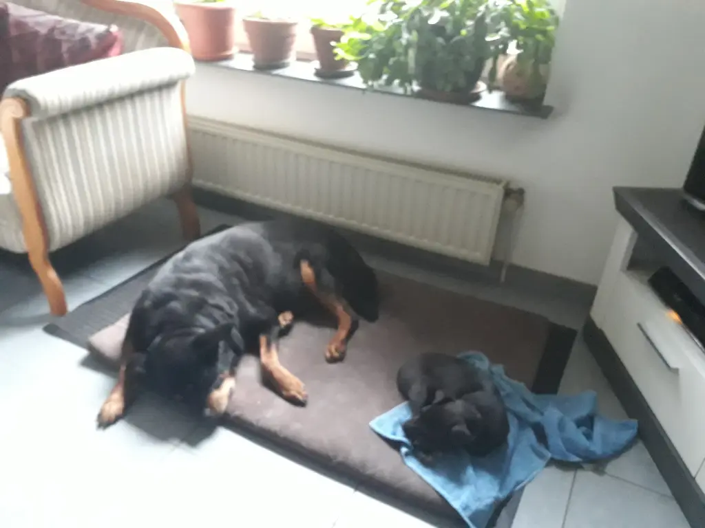 Image from Luna