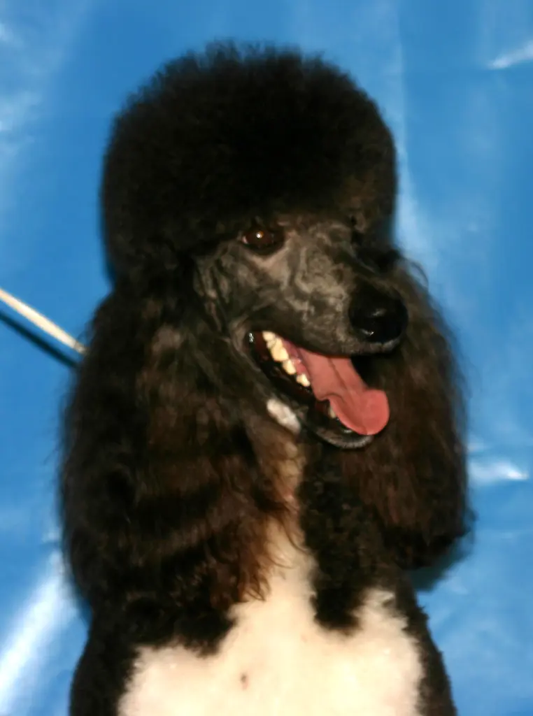 Condolence image of Ellen