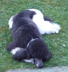 Condolence image of Ellen