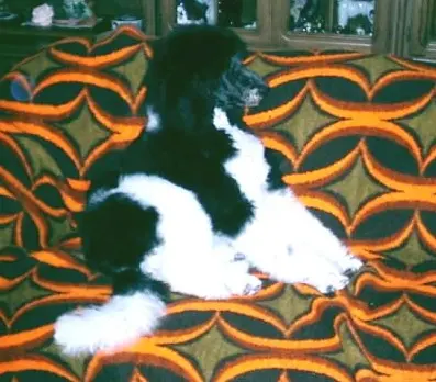 Condolence image of Ellen