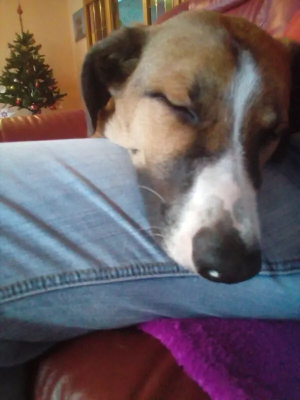 Image from Balou