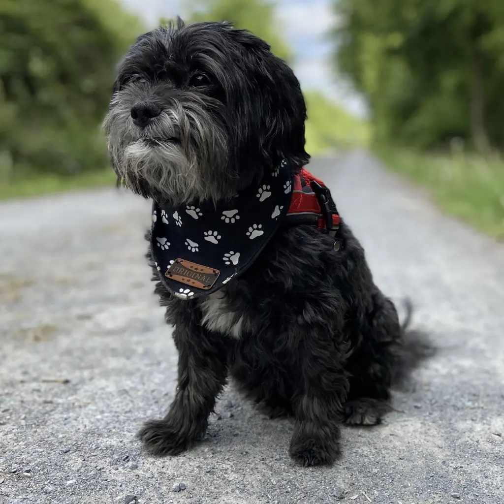 Condolence image of Oliver