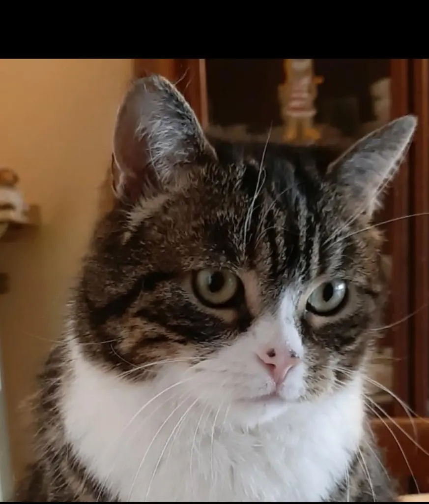 Andachtsbild von Andrea mit Mausi im Herzen