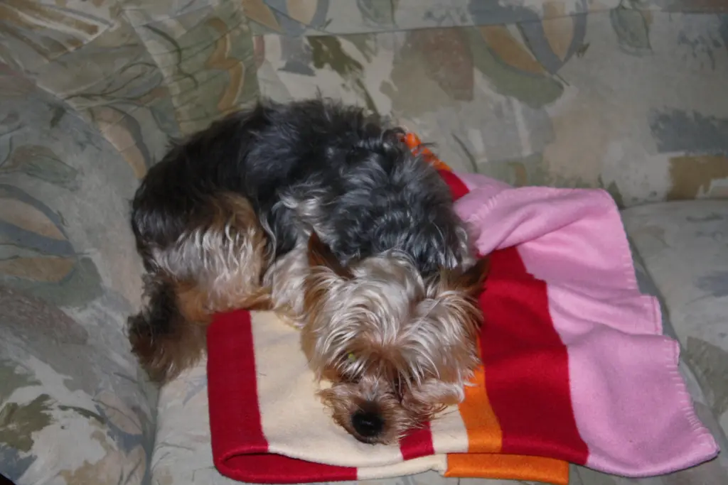 Image from Max