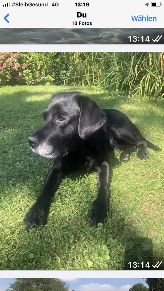 Andachtsbild von Nicole Kassner