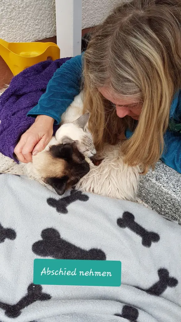 Condolence image of Birgit mit Dreamteam Rufus+Shi im Herzen  