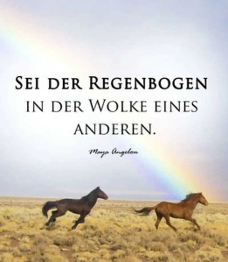 Condolence image of Birgit mit Dreamteam Rufus+Shi im Herzen  